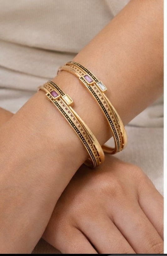 Bhavya Bangle (Set of 2 )